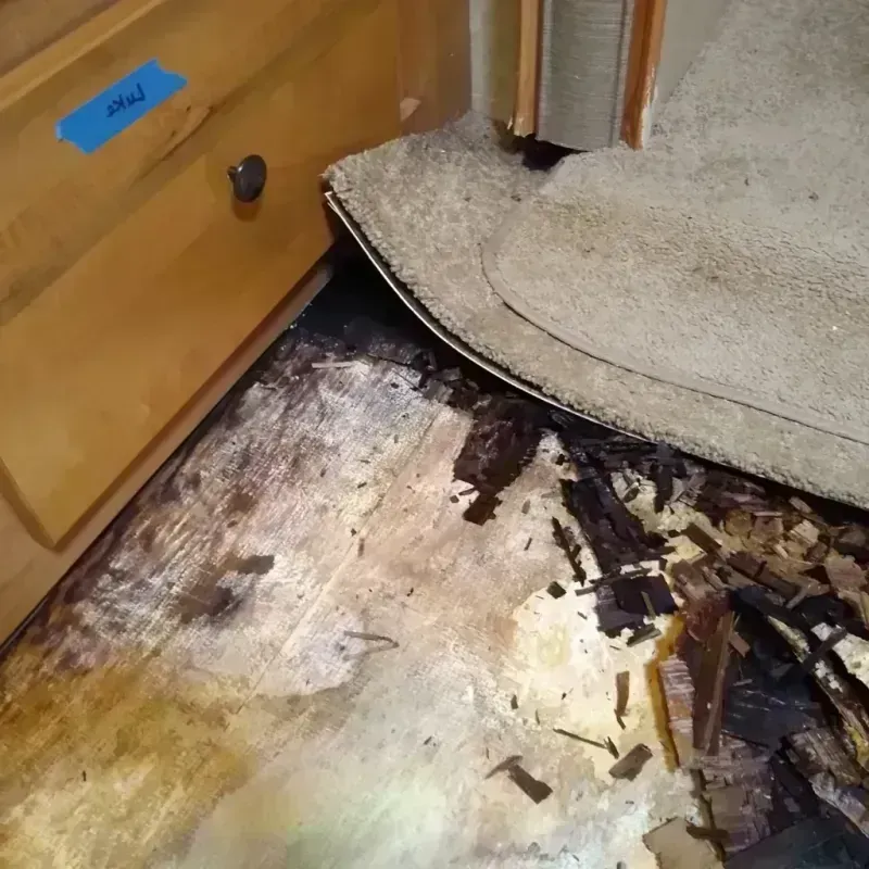 Wood Floor Water Damage in Twin Grove, IL